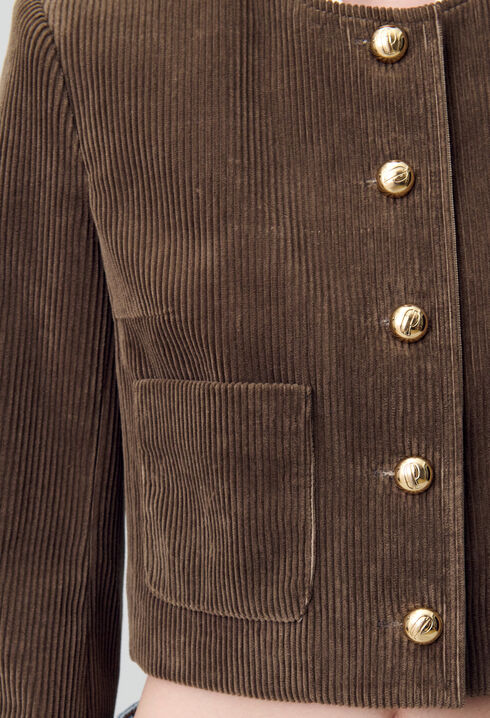 Veste boîte courte velours